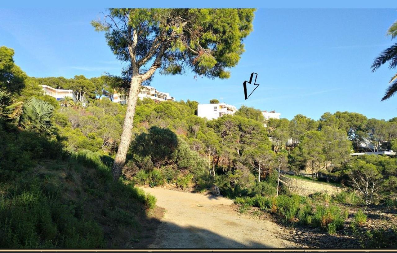 Aguila Dorada Διαμέρισμα Σαλού Εξωτερικό φωτογραφία